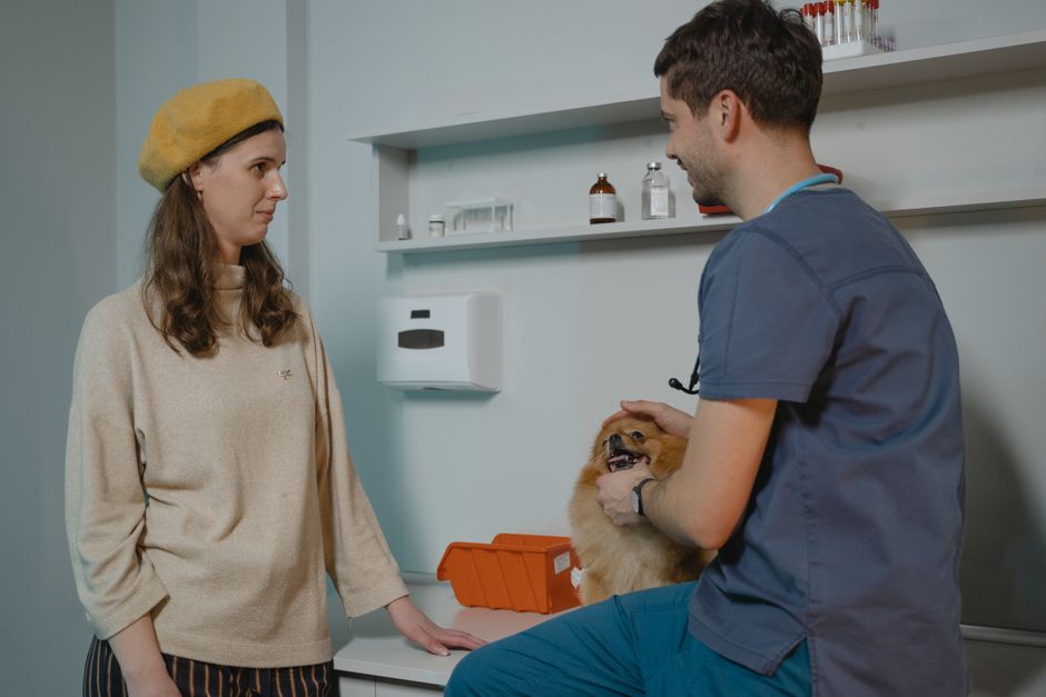 Veterinarian consulting with dog owner in a clinic while holding a Pomeranian.